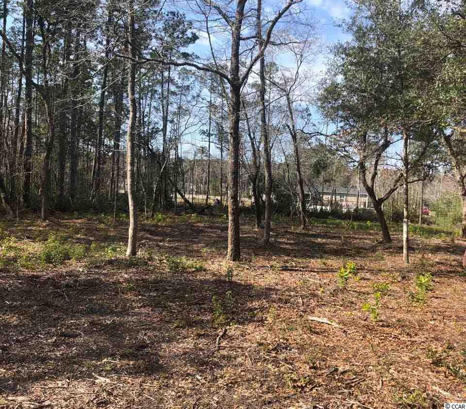 .44 AC Old Tram Rd. - Photo 1