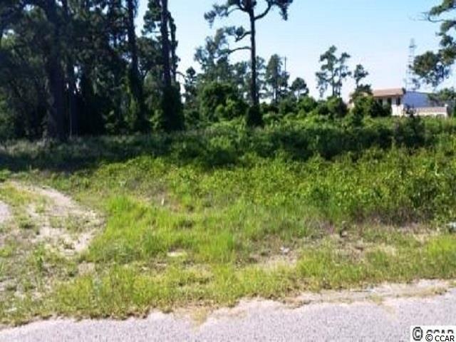 Lot 4 Alder St. - Photo 1