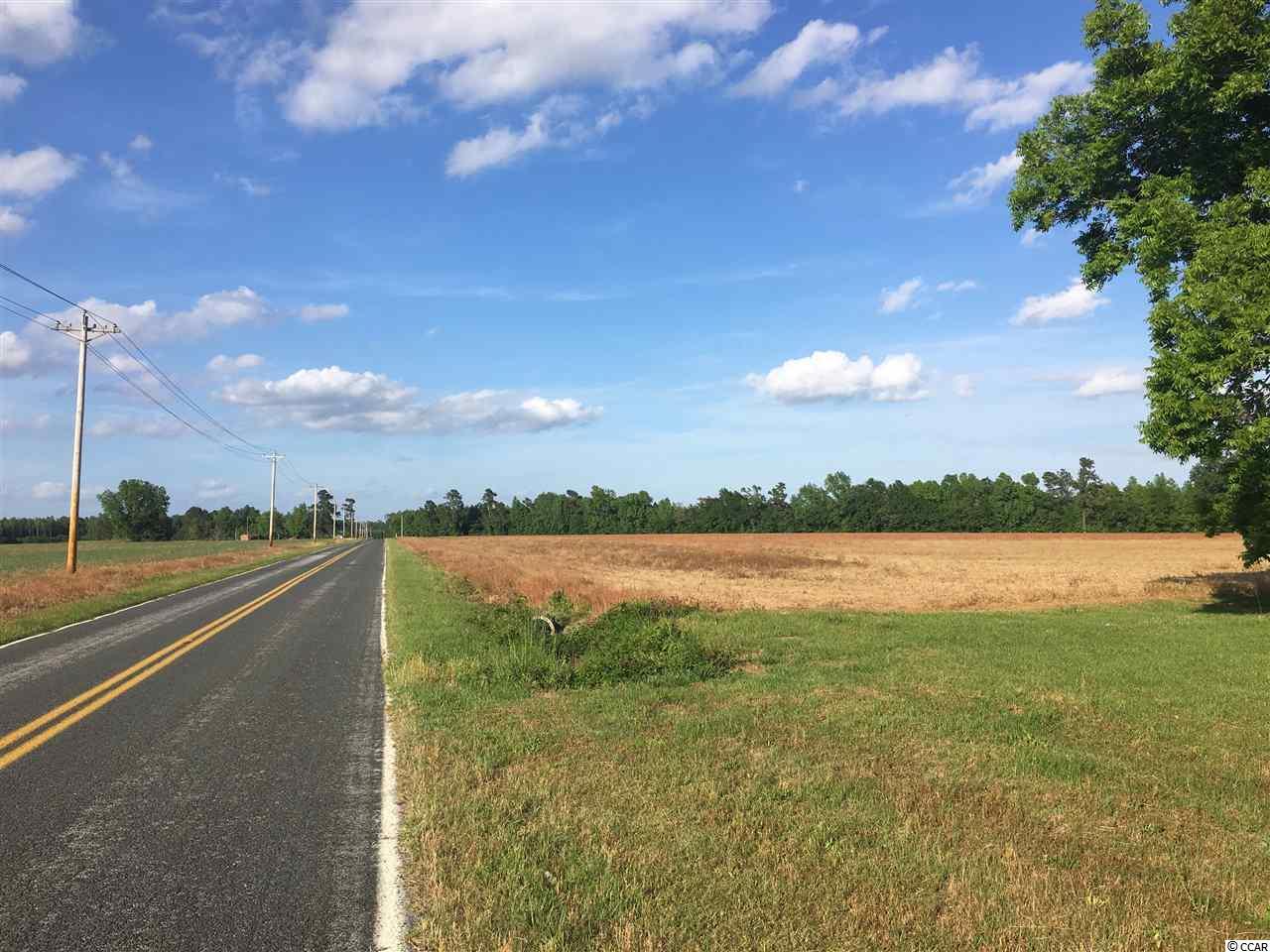88 AC Bartells Rd. - Photo 1