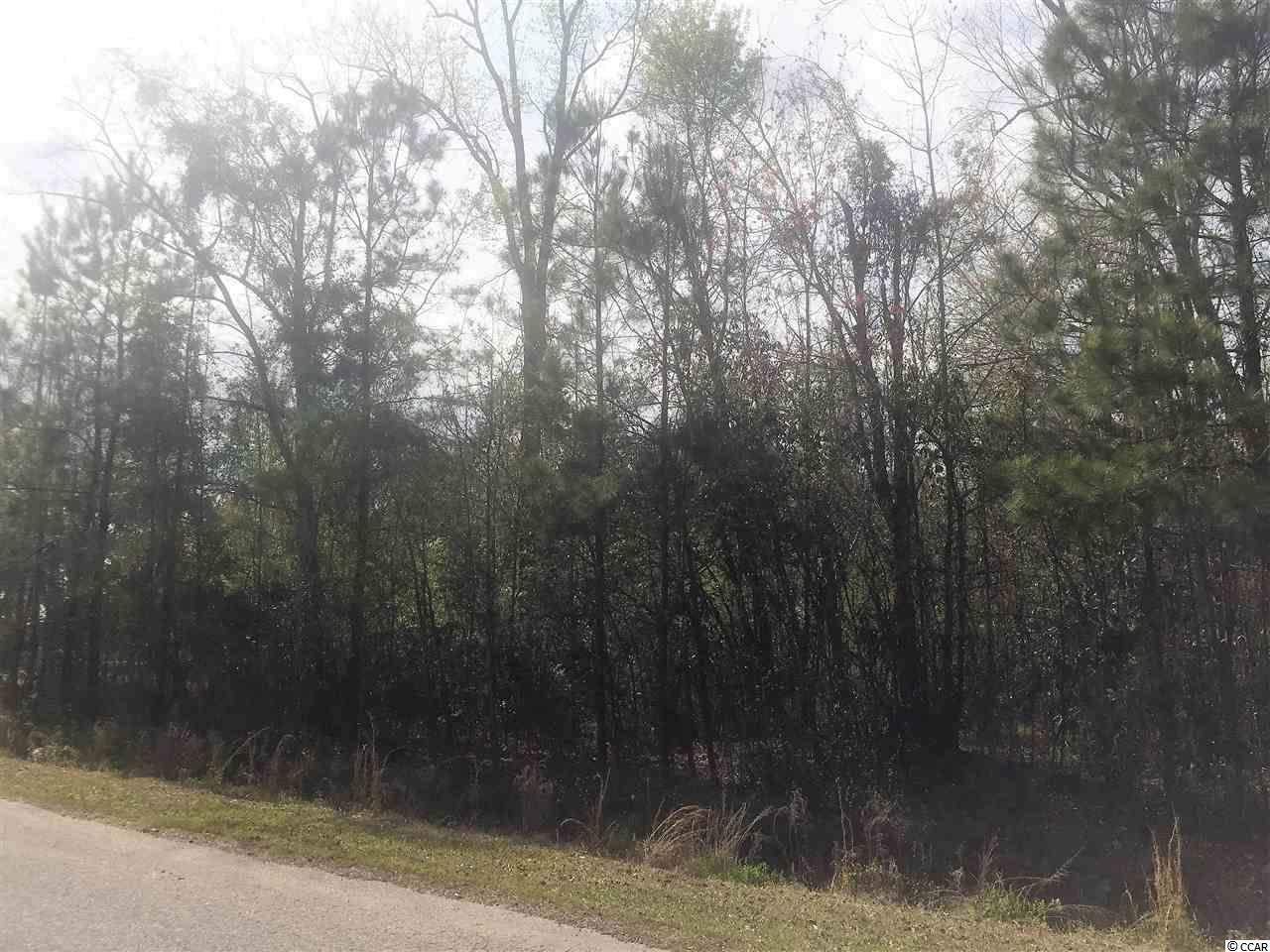 Lot 2 Allen St. - Photo 1