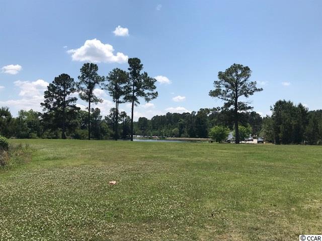 2452 Highway 501 - Photo 1