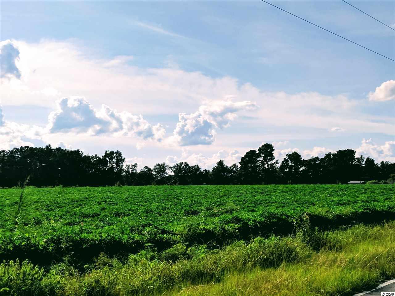 TBD Horry Rd. - Photo 1