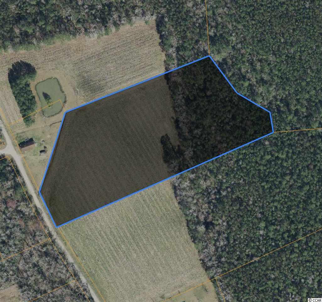 Tract C Dukes Rd. - Photo 1