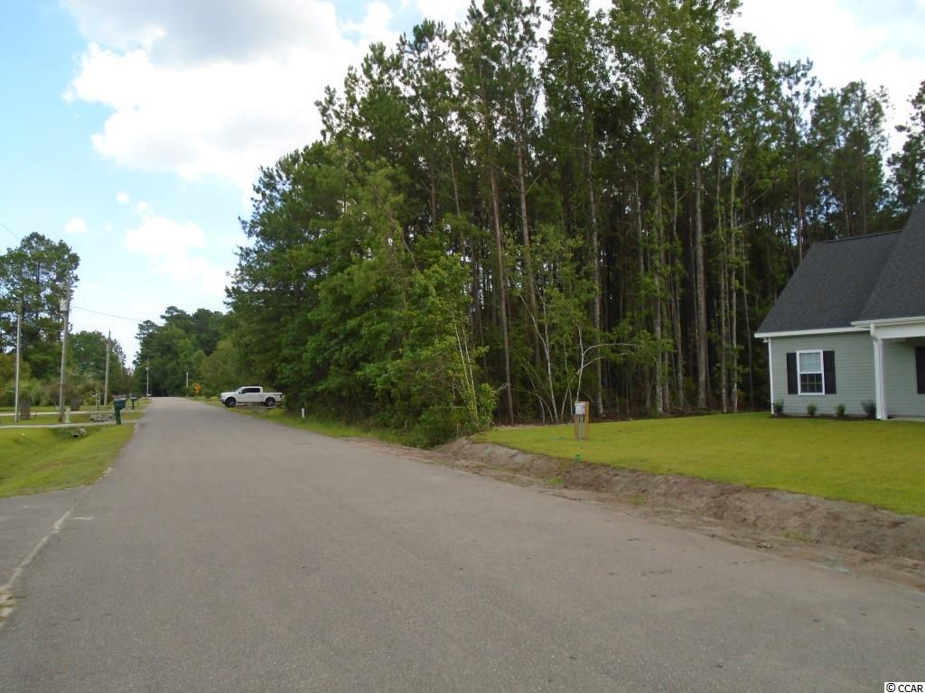 Lot 1 Applesauce Dr. - Photo 1