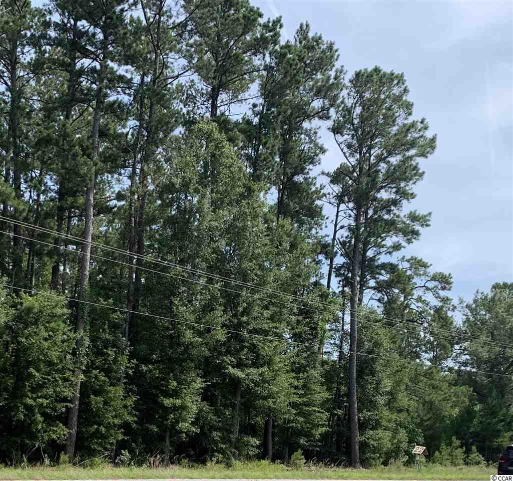 TBD Highway 378 - Photo 1