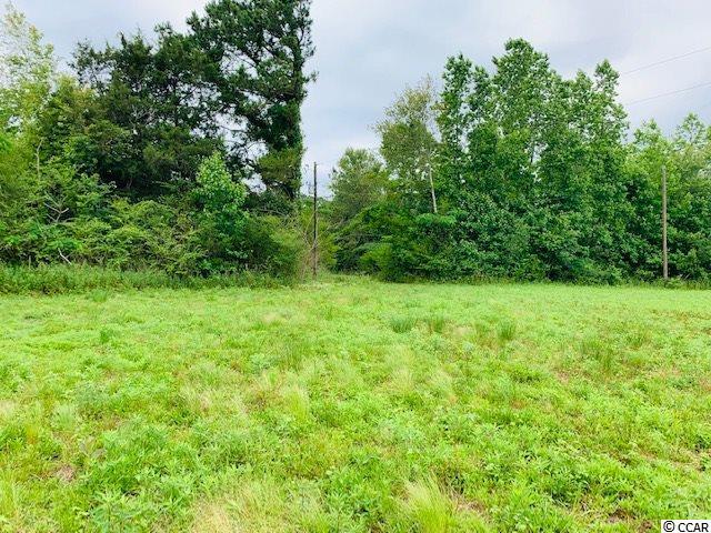 Tract 3 Red Bluff Rd. - Photo 1