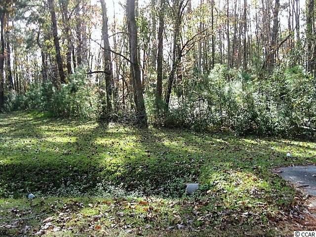 6383 Star Buck Lake Rd. - Photo 1