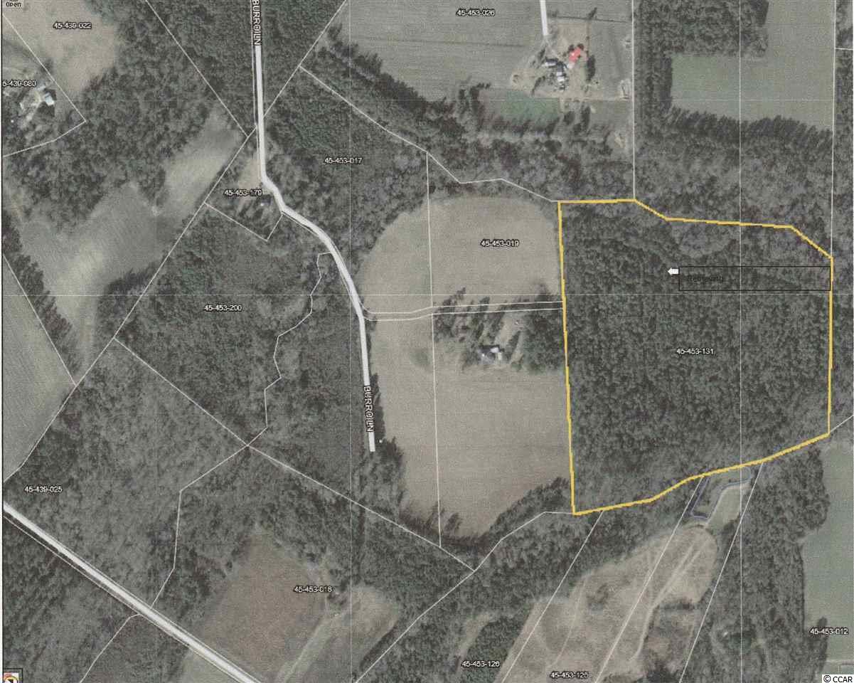 39.6 ac Burro Ln. - Photo 1