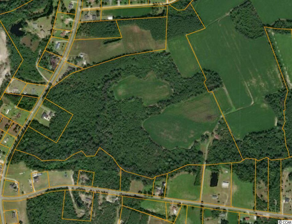 TBD Daisy Rd. - Photo 1