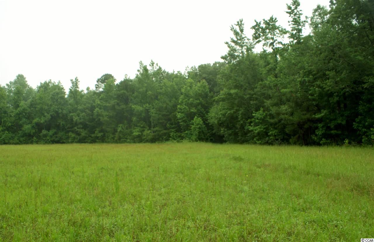 I M Graham Rd. - Photo 1