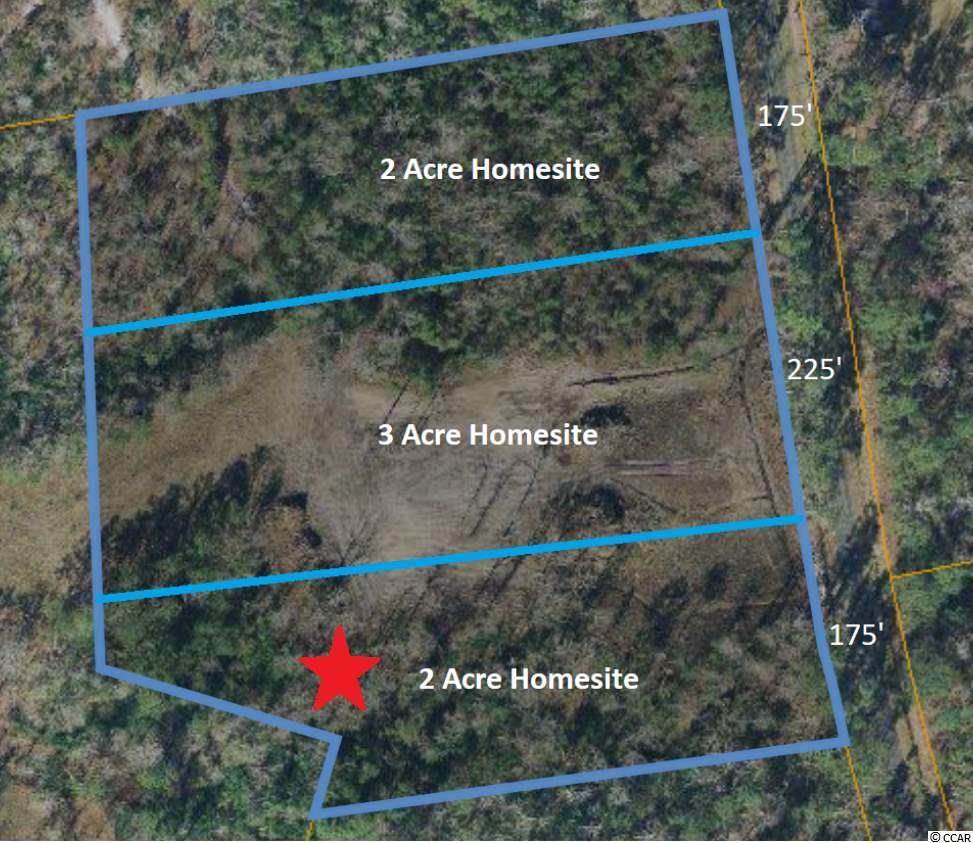 2520 Highway 129 - Photo 1