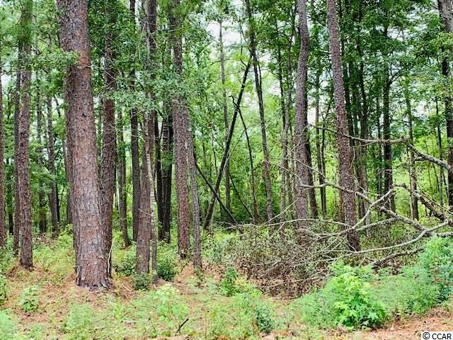 lot B Gervais Way - Photo 1