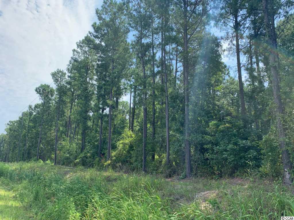 21.3 ace County Line Rd. - Photo 1