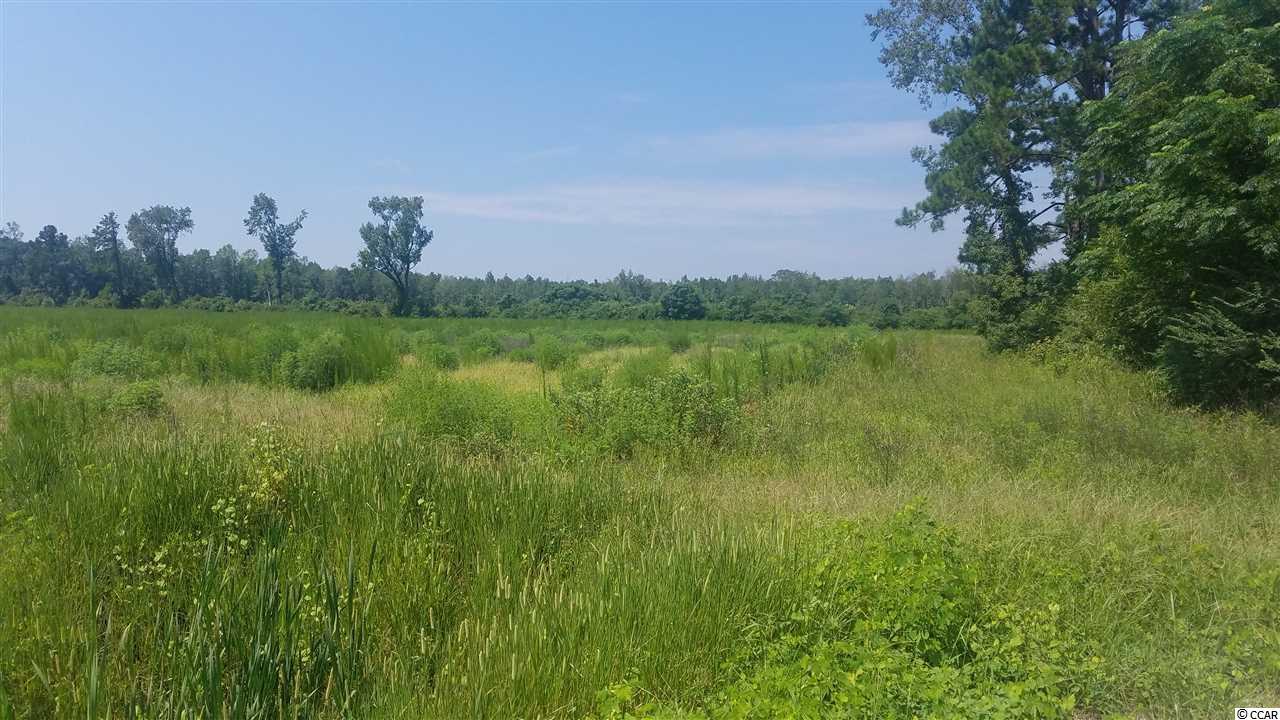 47.43 Acres Fowler Rd. - Photo 1
