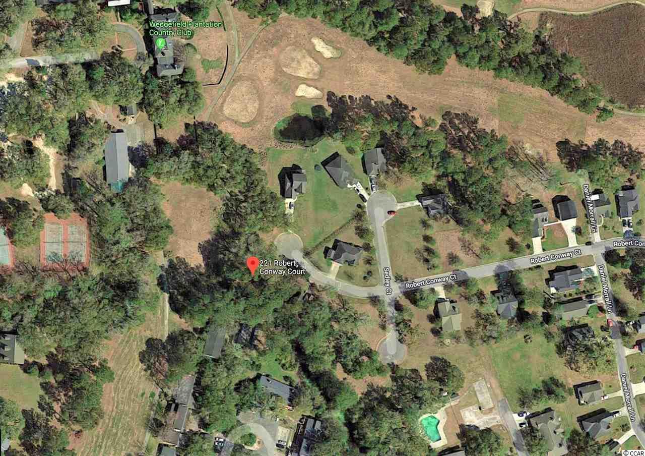221 Robert Conway Ct. - Photo 1