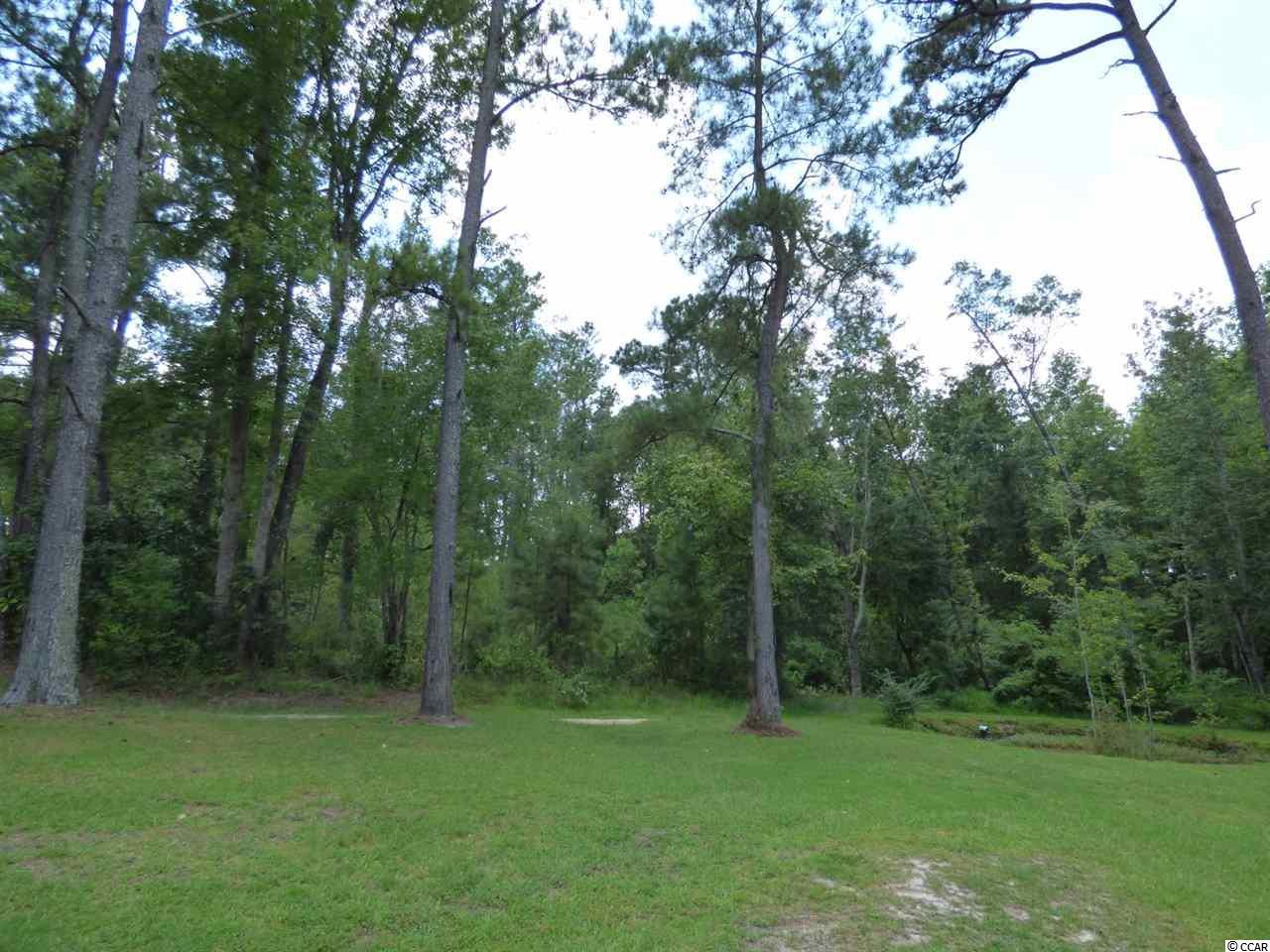 Tract 3 Red Bluff Rd. - Photo 1
