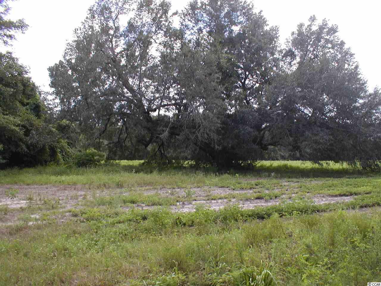Carraway Dr. - Photo 1