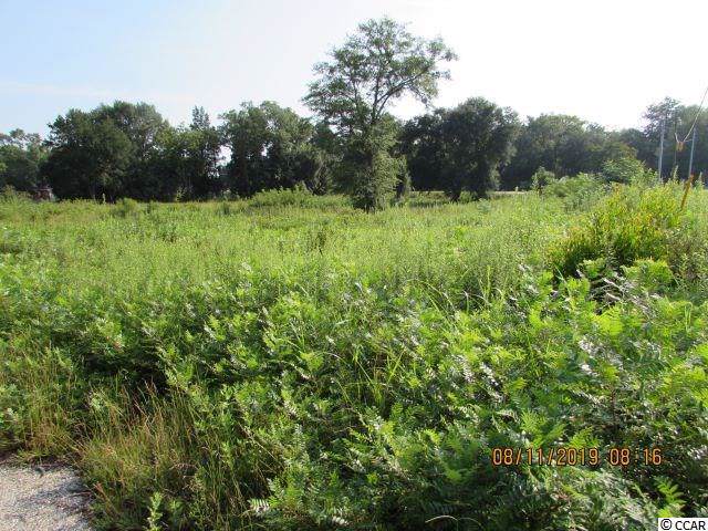 1114 Patrick Hwy - Photo 1