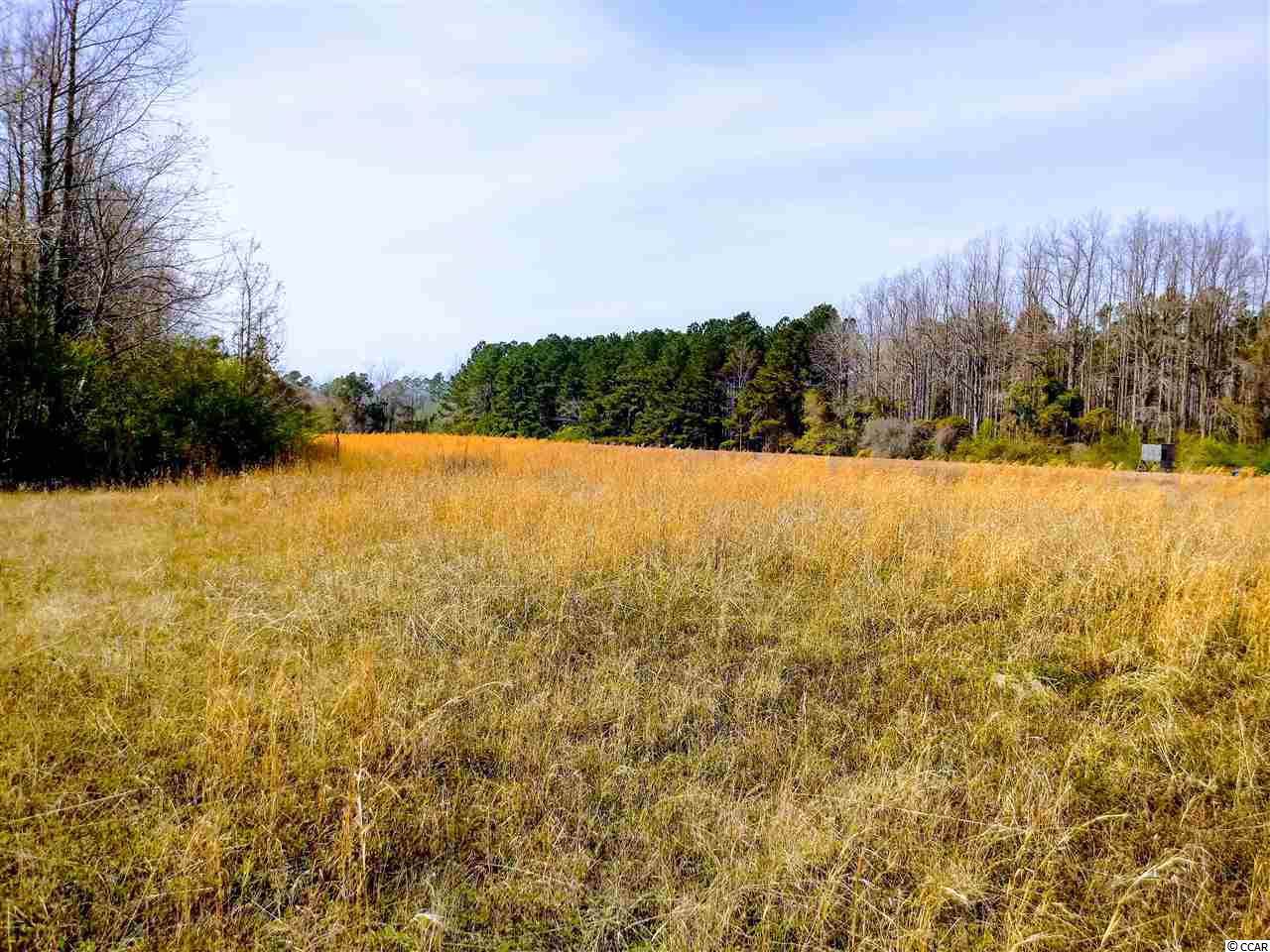 TBD acres Highway 348 - Photo 1