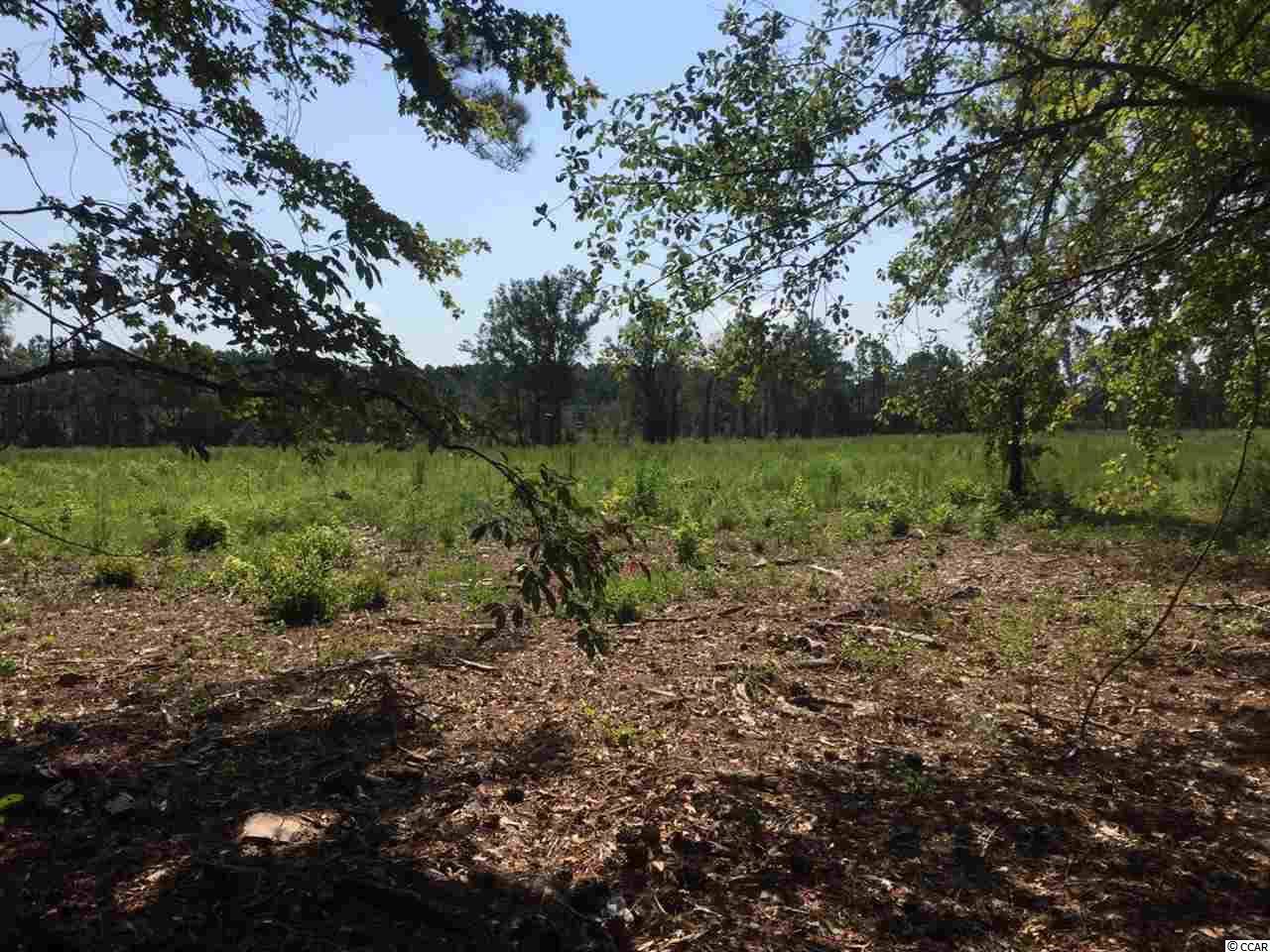 890 Horry Rd. - Photo 1
