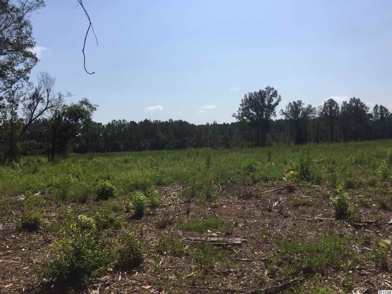 4770 Enoch Rd. - Photo 1