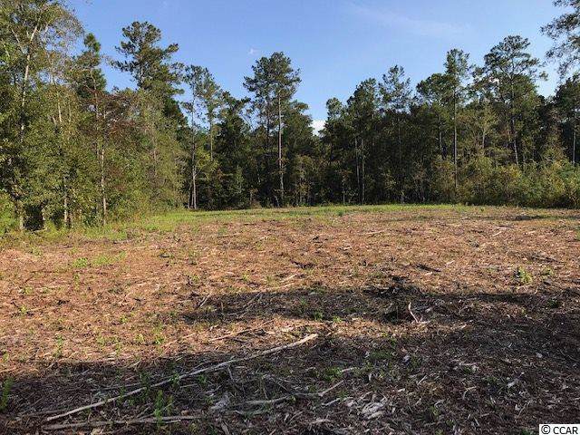 Lot 3-D Highway 813 - Photo 1