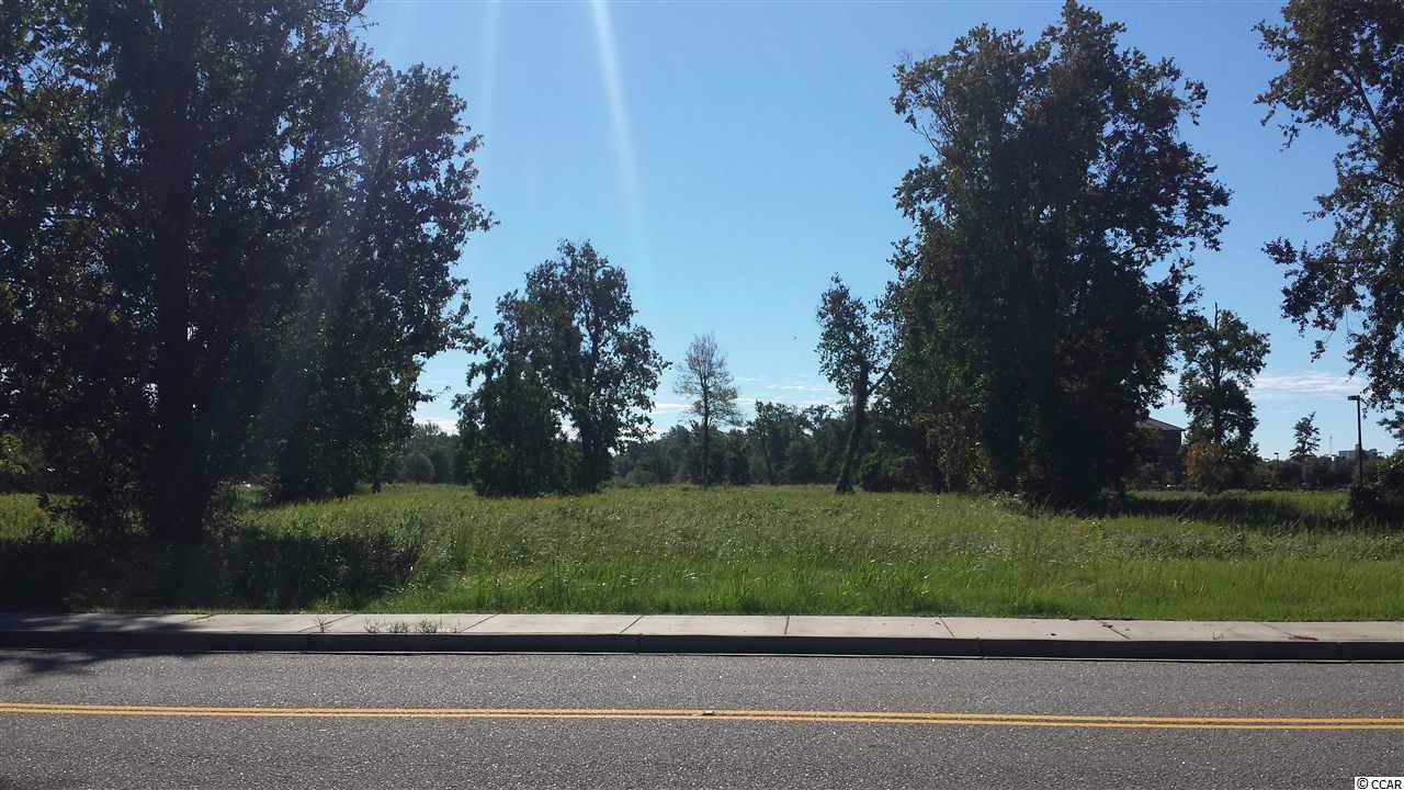 Lot 1 Oleander Dr. - Photo 1