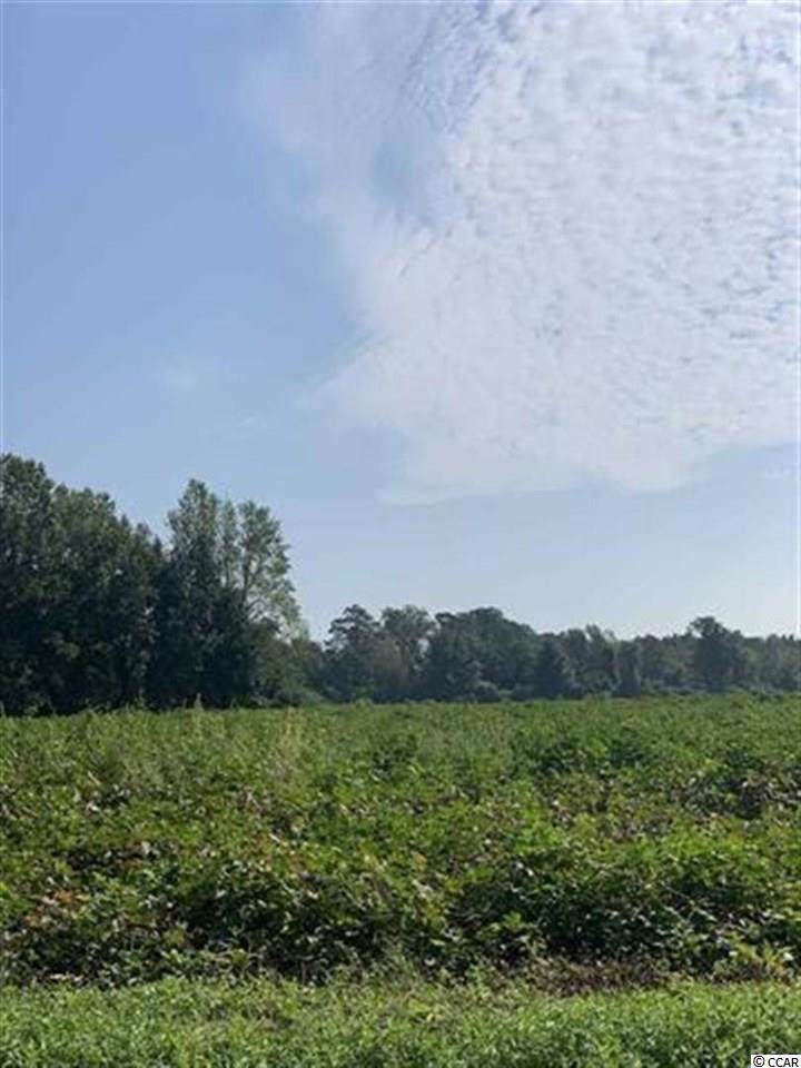 TBD Jamie Rd. - Photo 1