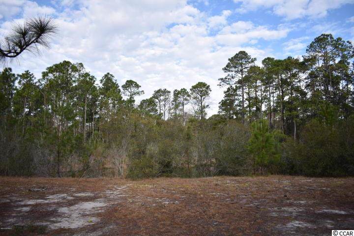 6848 Beckman Circle - Photo 1