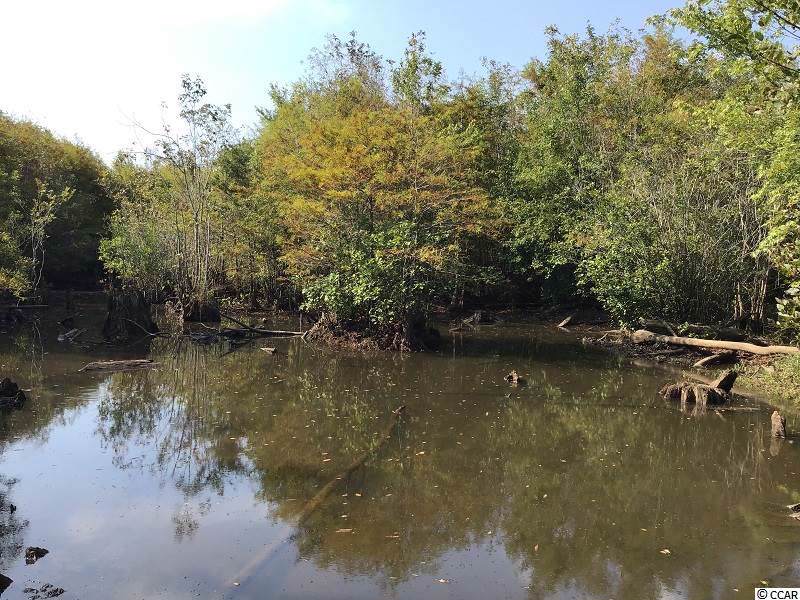 Tract 3 Swimming Hole Rd. - Photo 1