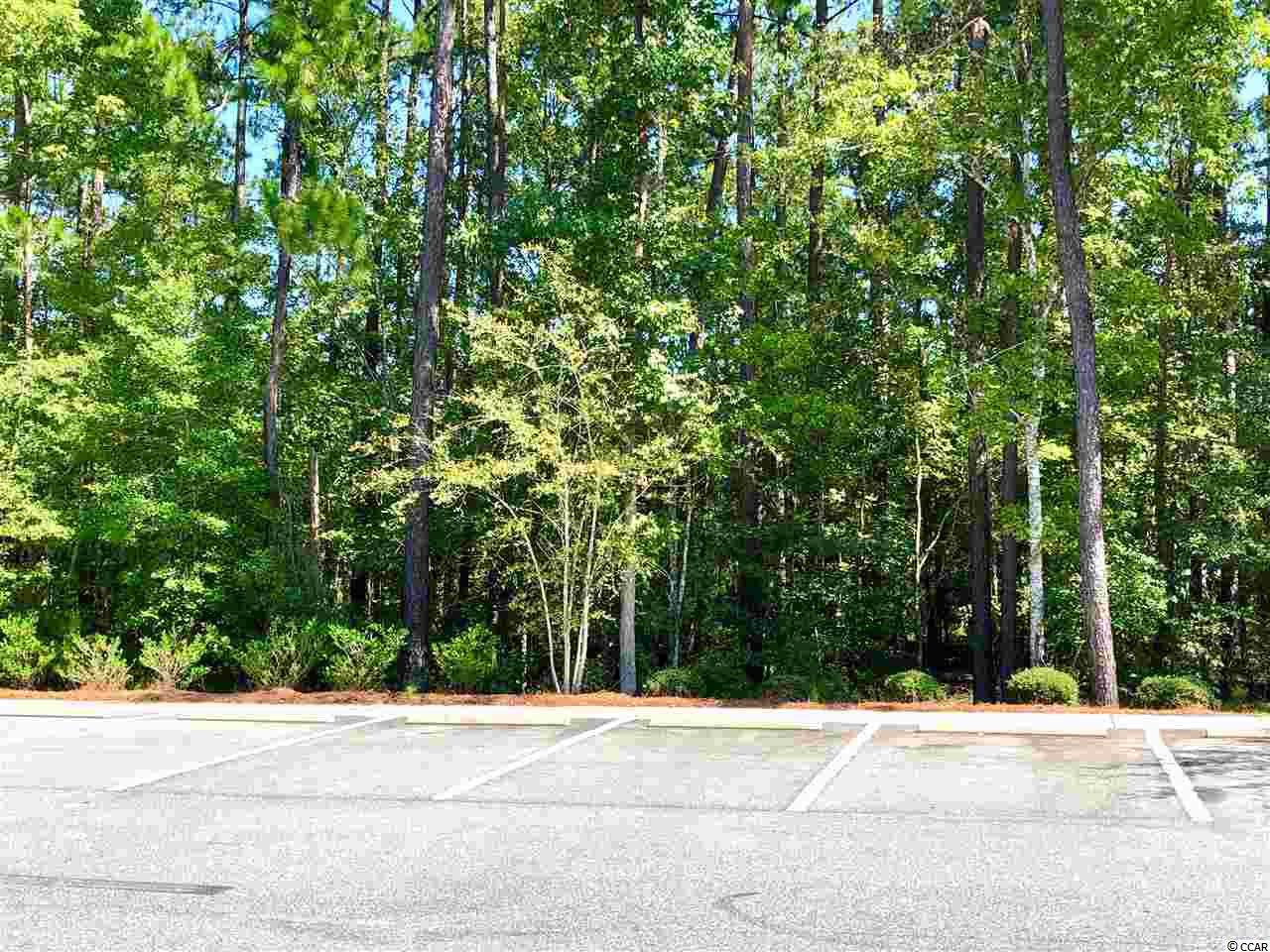 Lot 14 Caduceus Dr. - Photo 1 Lot 14 Caduceus Dr. - Photo 1