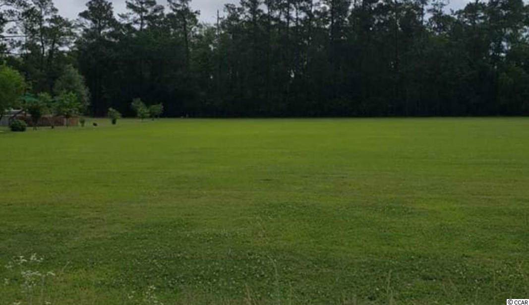 6447 Elbow Rd. - Photo 1