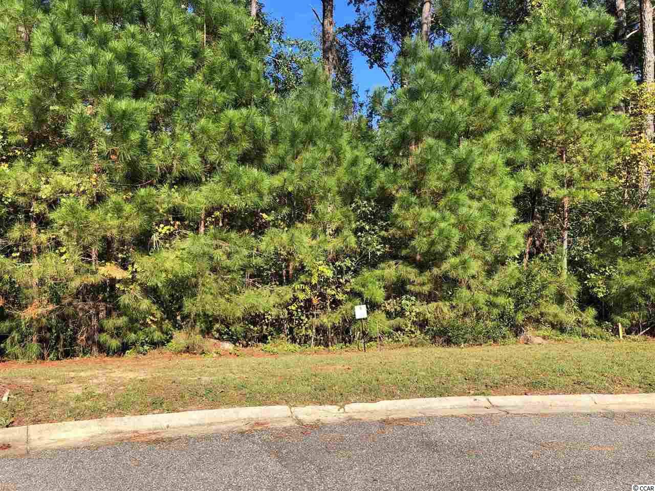 Lot 16 Rivers Edge Dr. - Photo 1
