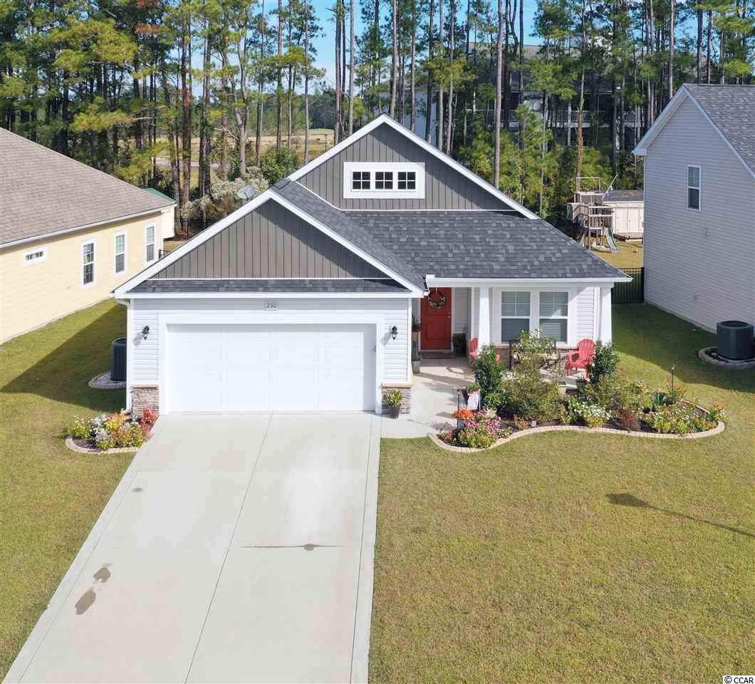 230 Palmetto Green Dr. - Photo 1