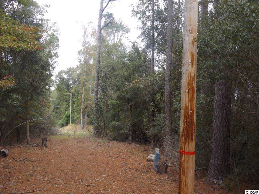 TBD Steep Landing Rd. - Photo 1