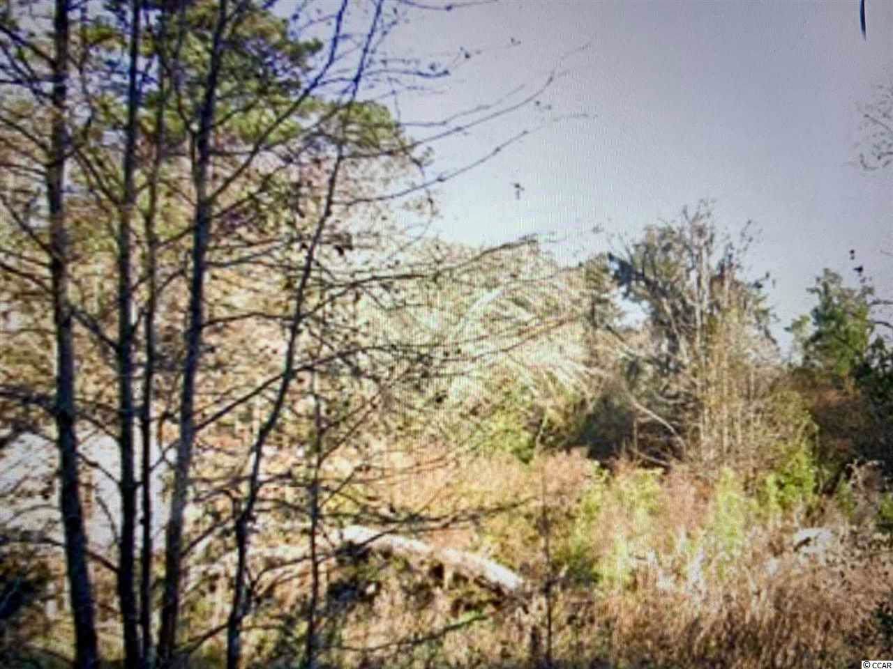 1058 Savannah Bluff Rd. - Photo 1