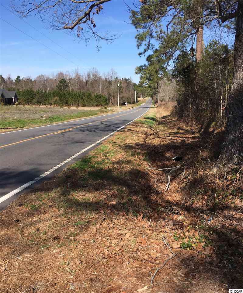 Lot 3A Dog Bluff Rd. - Photo 1