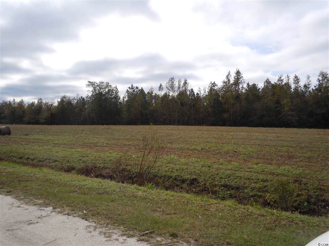 TBD-Lot D G & B Estates Ave. - Photo 1