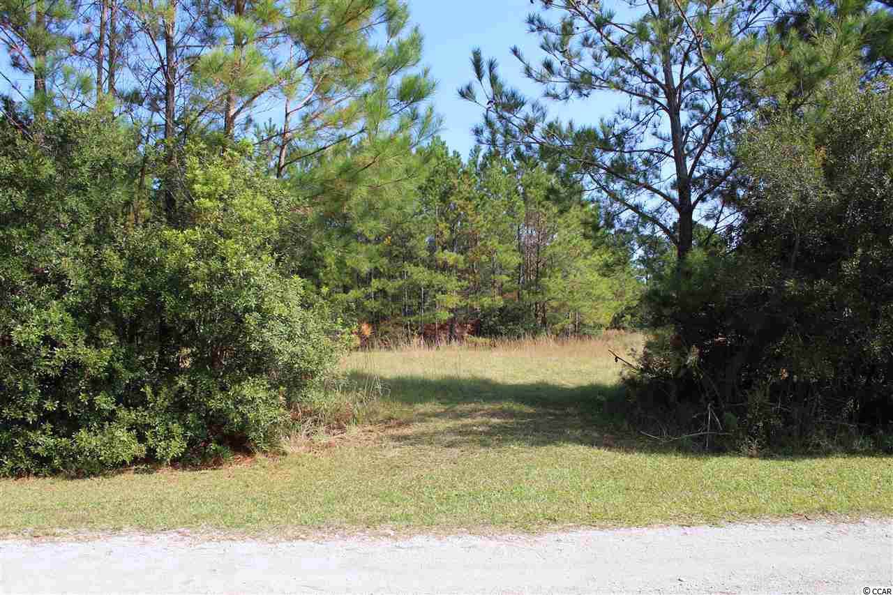 1422 Daisy Rd. - Photo 1