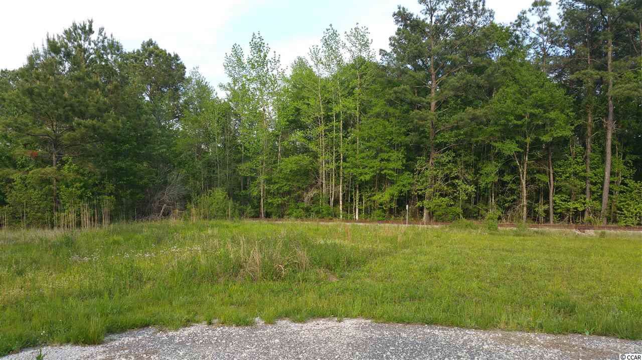 TBD Highway 701 North - Photo 1