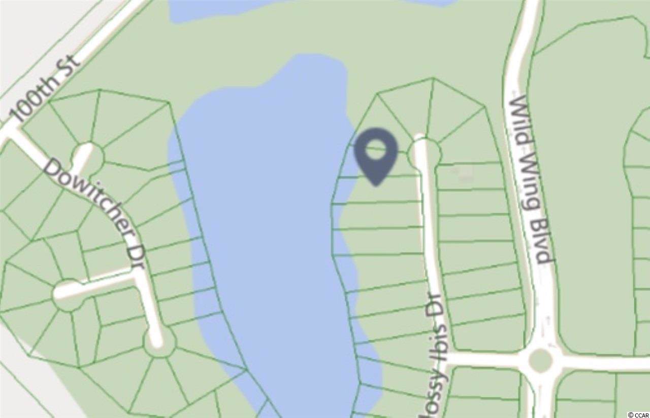 1125 Glossy Ibis Dr. - Photo 1