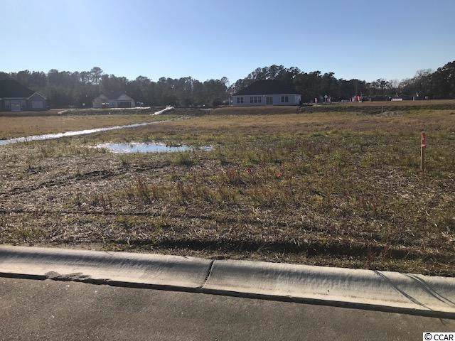 512 Hobie Cat Rd. - Photo 1