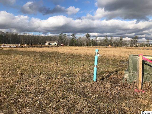 541 Hobie Cat Rd. - Photo 1