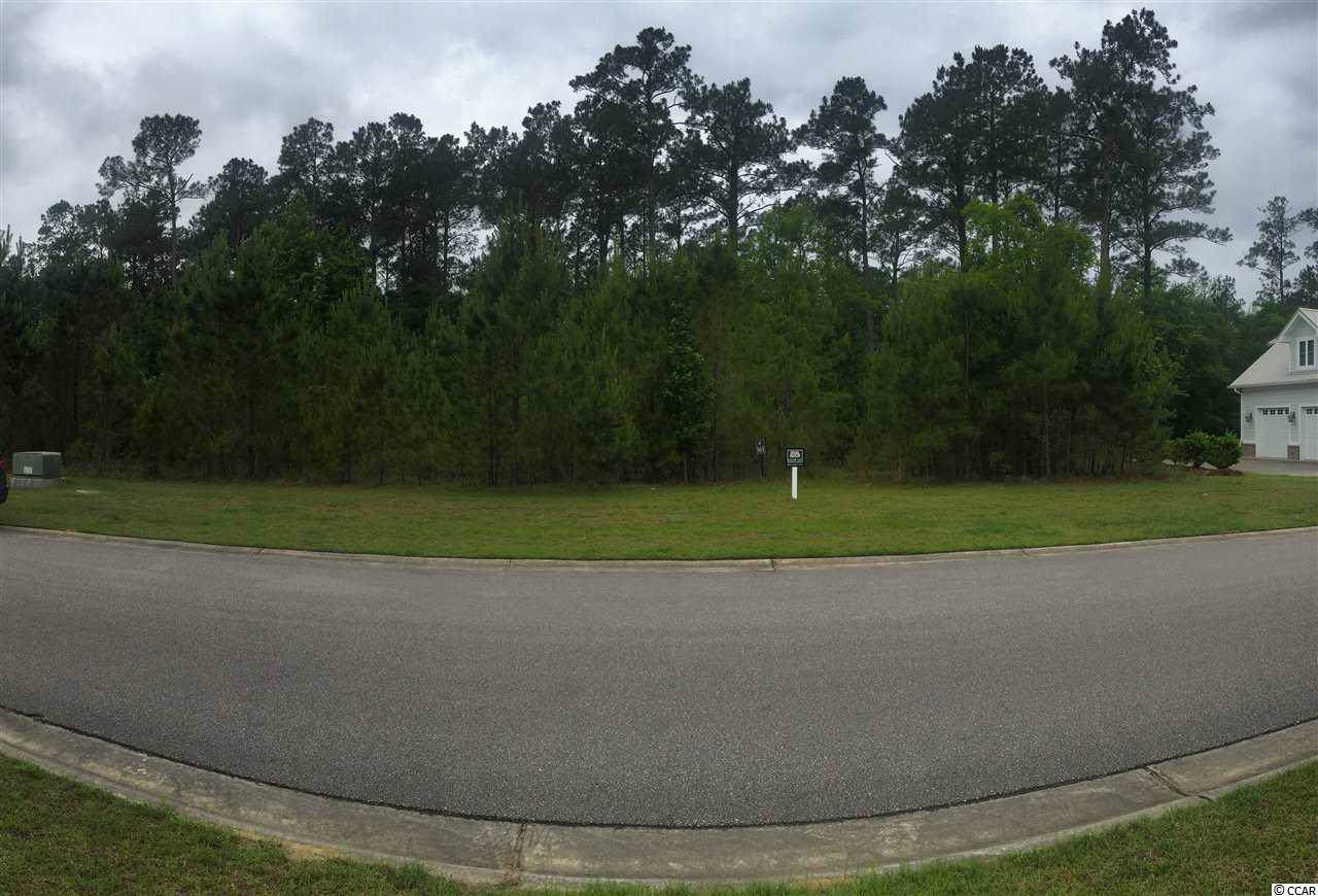 Lot 161 Knotty Pine Way - Photo 1