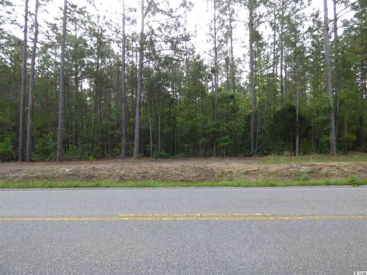 Lot 36 Highway 50 - Photo 1