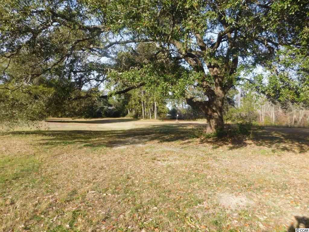 1021 Highway 17 - Photo 1