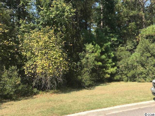 Lot 110 Damon Loop - Photo 1