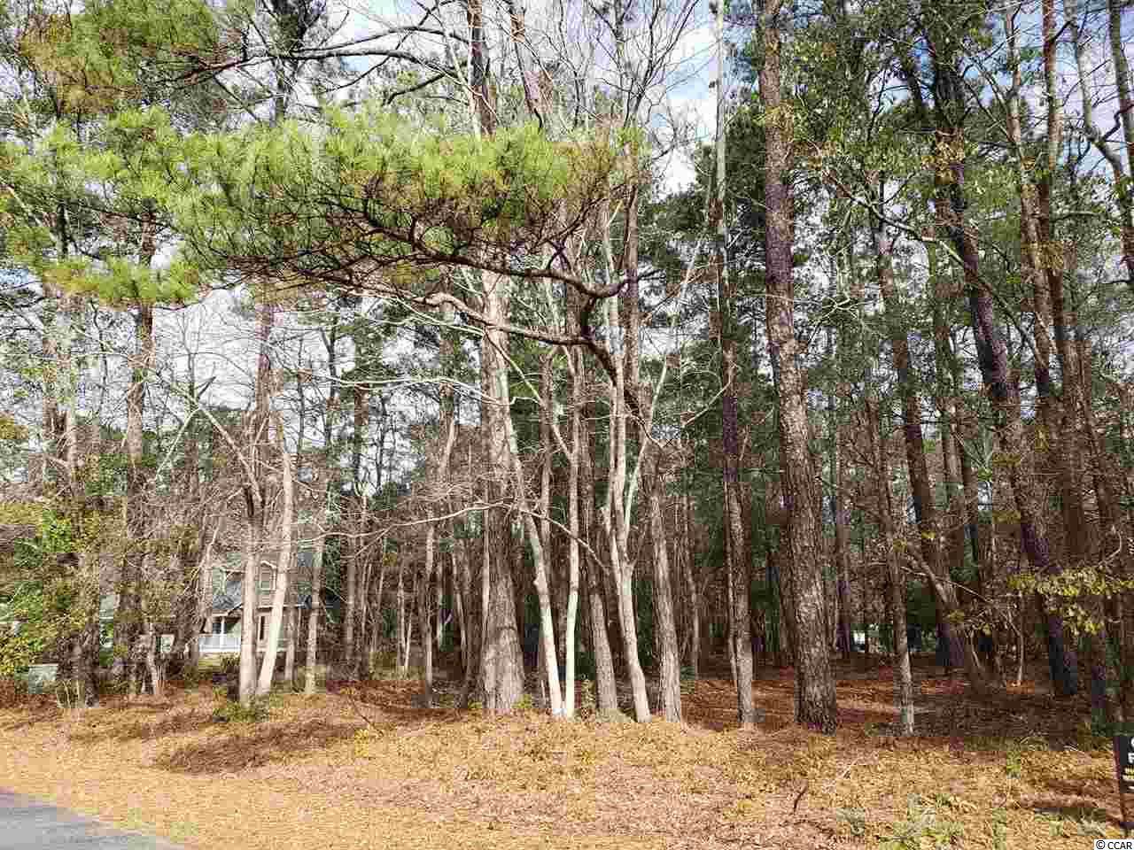 TBD Wedgefield Rd. - Photo 1