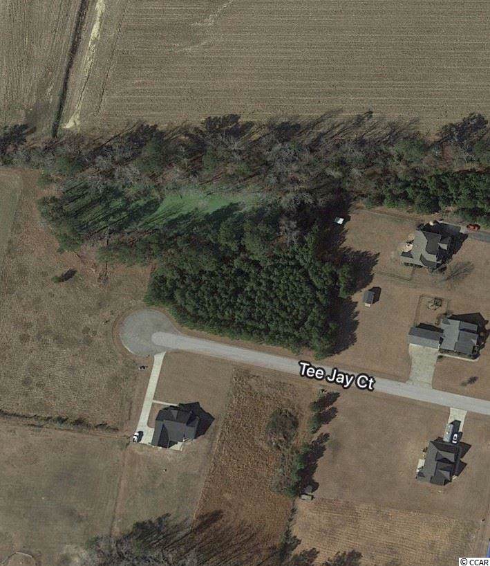 Lot 3 Tee Jay Ct. - Photo 1