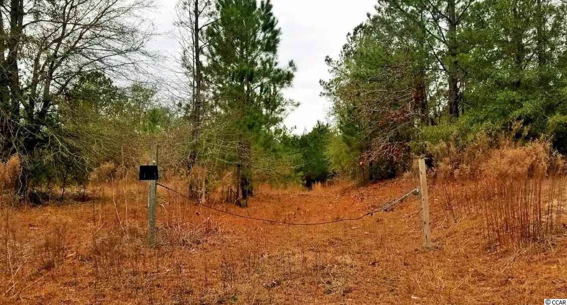 TBD Mobley Rd. - Photo 1